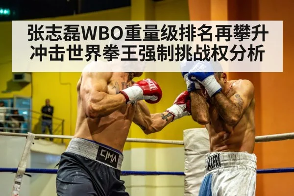 heavyweight boxing match